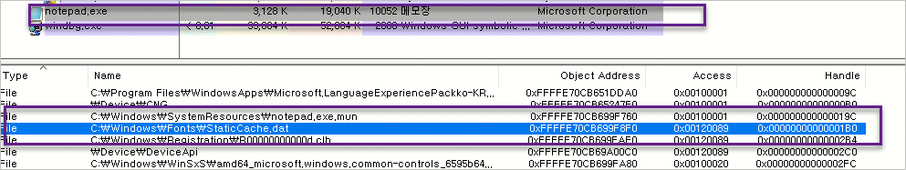 proc_exp_handle_info_1.png